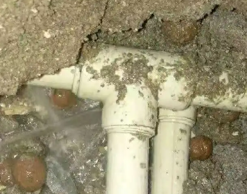 余姚测漏水多少钱