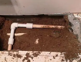 余姚测漏水哪家好