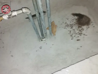 余姚卫生间测漏水价格明细