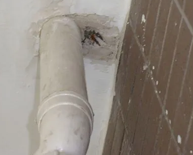 余姚漏水检测哪家好